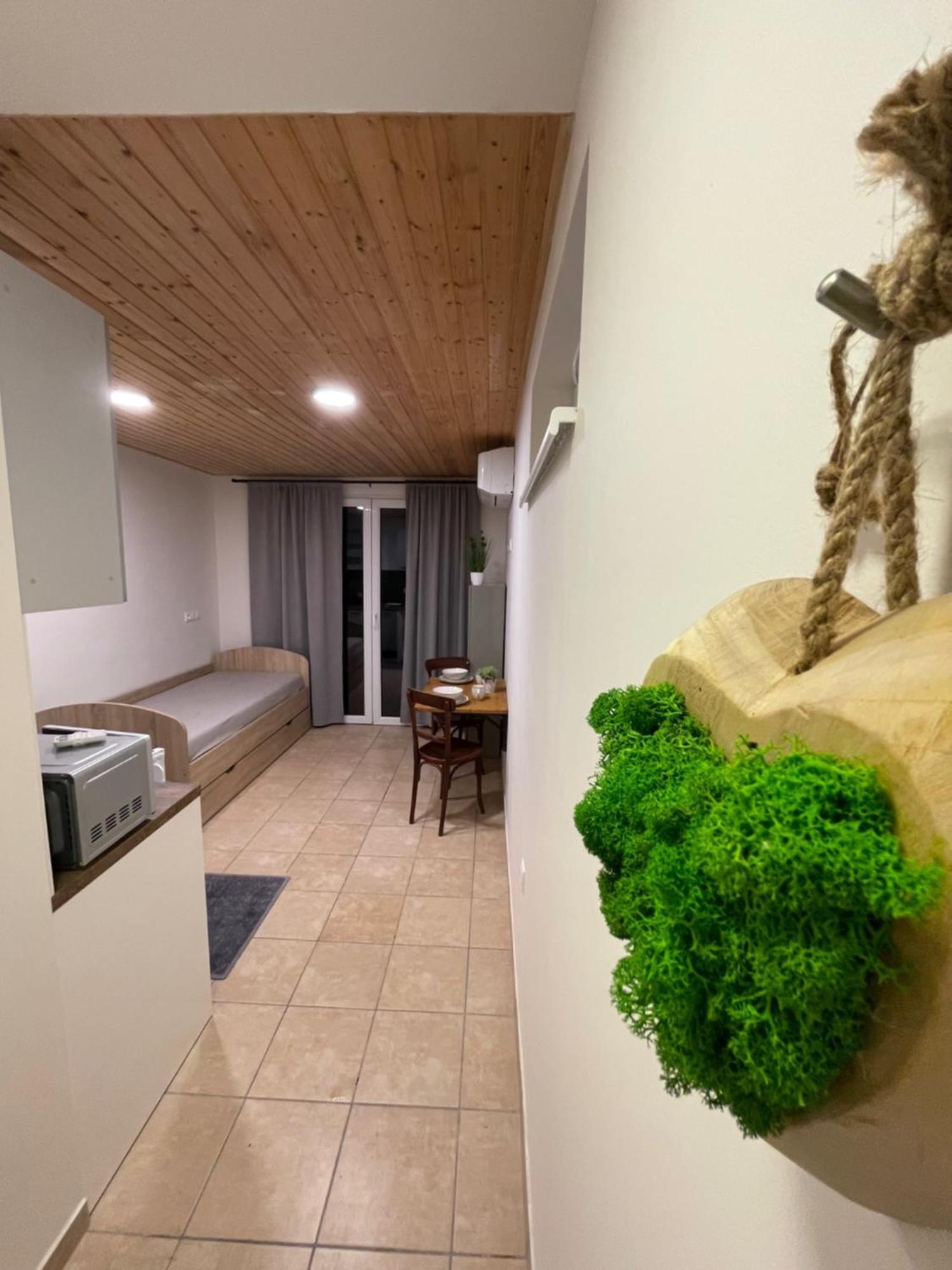 Apartman Mini 斯图帕瓦 外观 照片