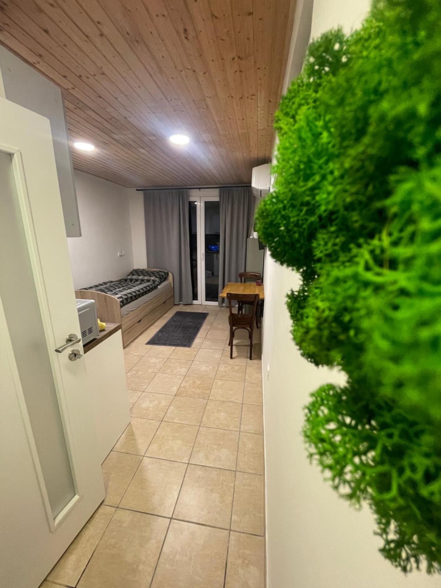 Apartman Mini 斯图帕瓦 外观 照片